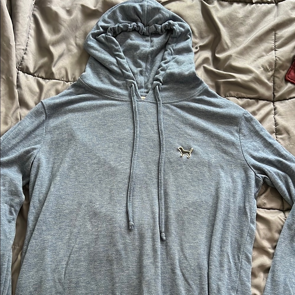 Light blue Hoodie with Embroidered Logo